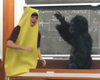 gorilla in classroom