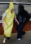 gorilla and banana