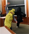 gorilla and banana 2008