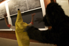 gorilla and banana 2009